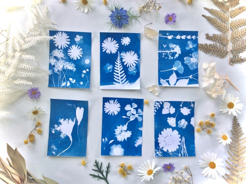 Party favors , mini art kit , party favors for kids, Party pack , Mini cyanotype kit, Elemental leaf image 6