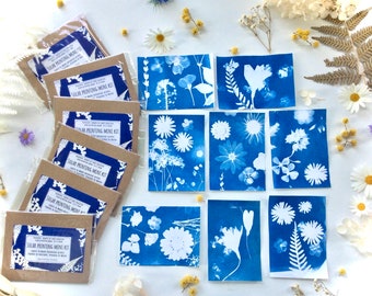 Party Favours , Min cyanotype kit , corporate gifts , stocking stuffer, mini art kit , party favors for kids,  Party pack , Mini cyanotype