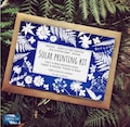 DIY solar printing kit , craft kit , cyanotype , kit , solar printing kit , Craft ,  DIY kit , gifts to make