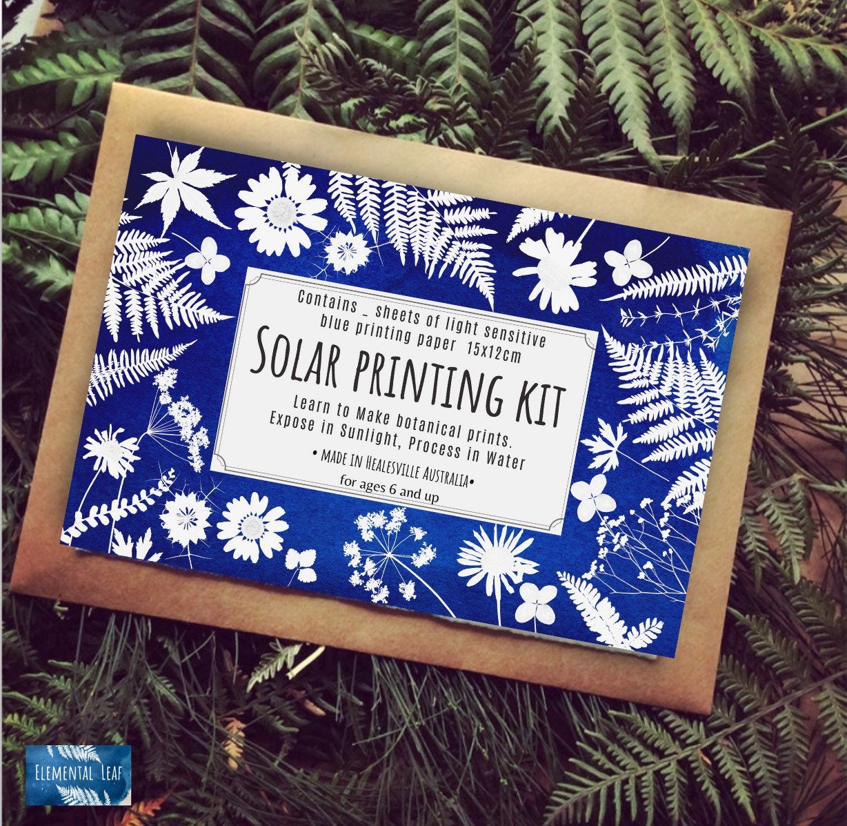 Cyanotype Kit 'letterbox Kit' DIY Craft Gift, Childrens Art Gift