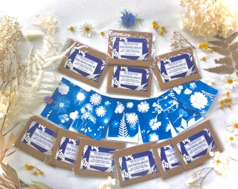 Mini Cyanotype Kit Party Favors: Solar Print Art, Nature Theme
