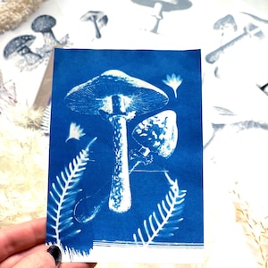 Funghi, kit cianotipo, autunno, scoperta autunnale festiva, stencil di funghi, kit di stampa solare, kit artigianali