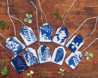 Nature craft , blue and white nature print , , sun print , cyanotype kit ,