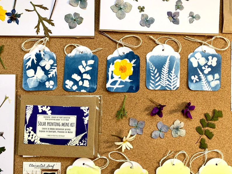 Nature craft , blue and white nature print , , sun print , cyanotype kit , image 2