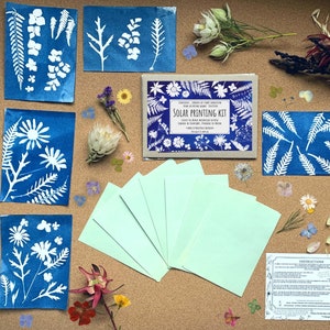 May include: A solar printing kit with a brown paper box that says "Solar Printing Kit" and includes instructions, blue cyanotype paper, and a set of six blank cards. The kit also includes a variety of dried flowers and leaves for printing.