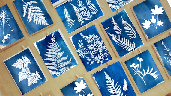 24pz Kit Carta per Stampa Solare, A4 Carta Cianotipica & Cartella Stampa Artistica Ad Alta Sensibilità Attivata Dal Sole/Solare per Progetti Artigianali l'Educazione Artistica Fai da Te