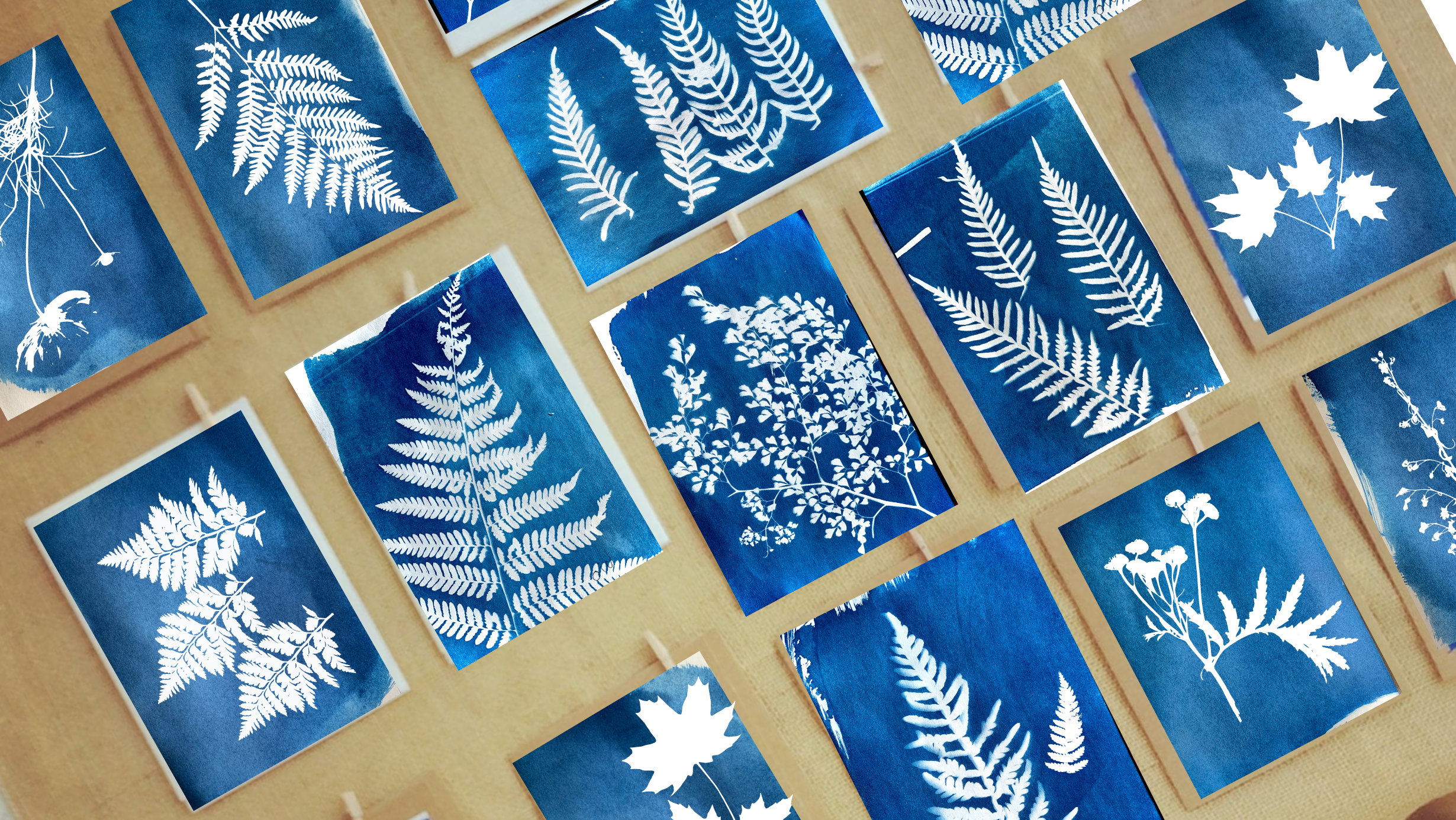 Papier à dessin solaire | Kit de papier d'impression Sun Papier cyanotype -  Papier d'art d'impression de soleil/solaire activé par le soleil de Nature
