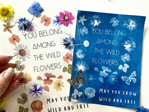 Cyanotype Kit, Solar Printing With Plants, Ferns, Flowers