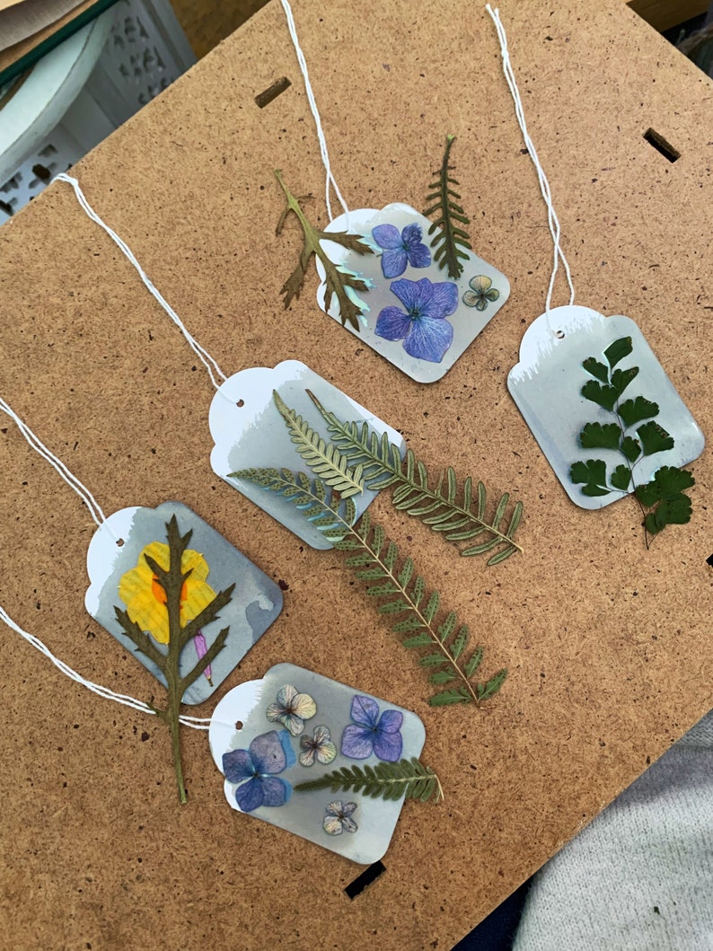 Nature craft , blue and white nature print , , sun print , cyanotype kit , image 5