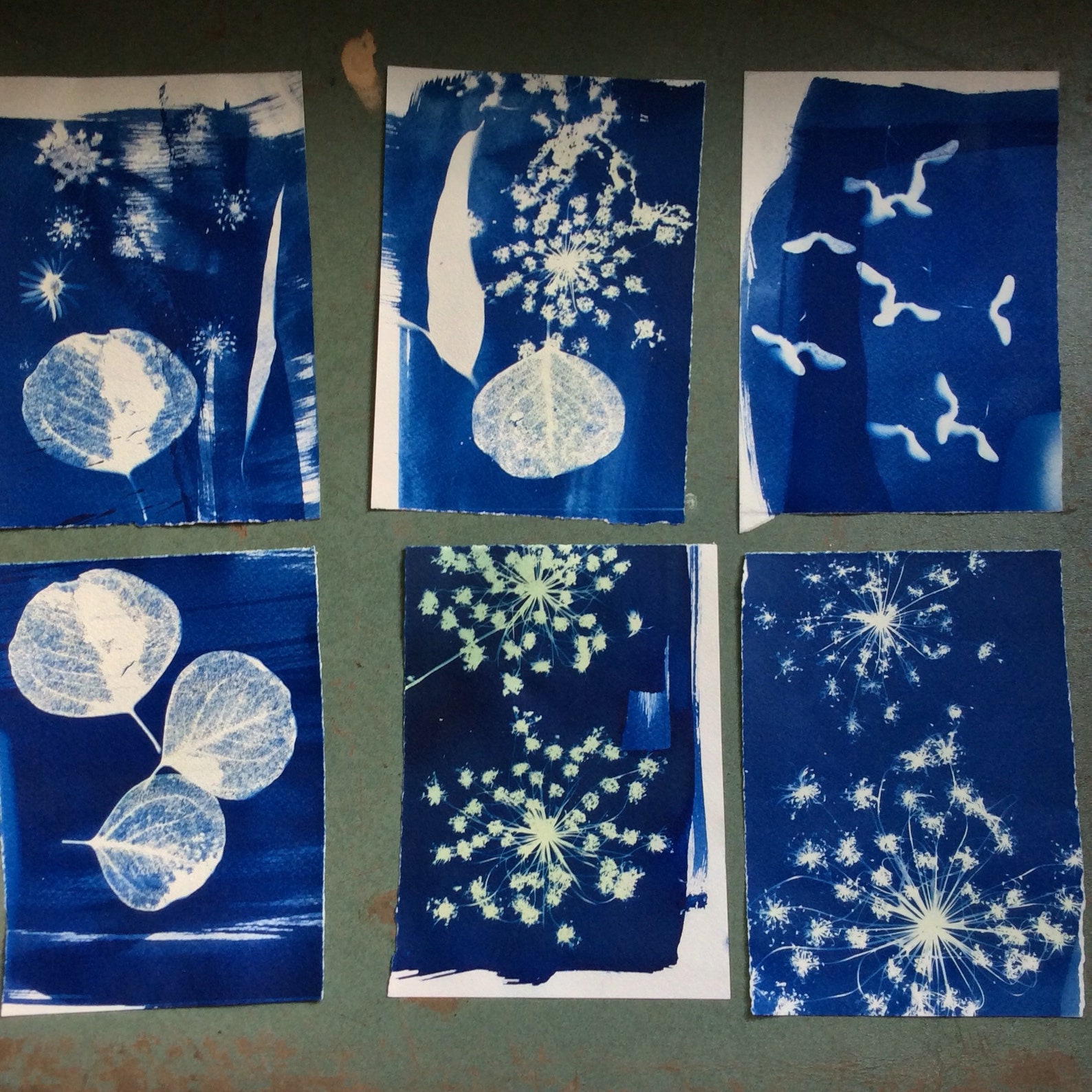 DIY Solar printing kit cyanotype kit photo paper Etsy
