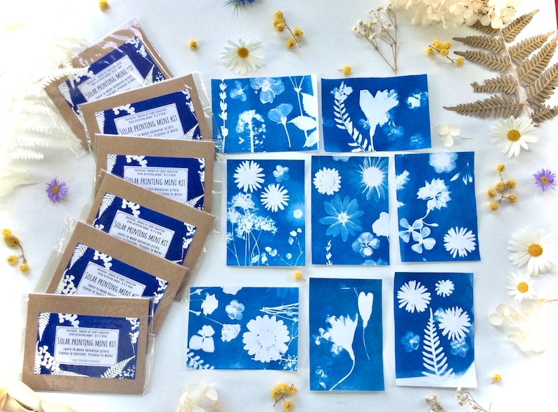 Party favors , mini art kit , party favors for kids, Party pack , Mini cyanotype kit, Elemental leaf image 7