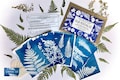 Cyanotype Solar Printing Kit: Nature Art, DIY Craft product logo