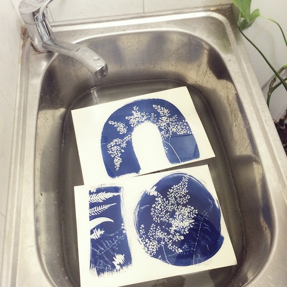 Cyanotype Kit - My French Country Home Box