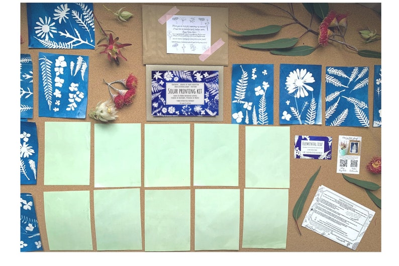 May include: A solar printing kit with eight blank sheets of paper, six cyanotype prints of various plants, and instructions. The kit is laid out on a cork board with dried flowers and leaves.