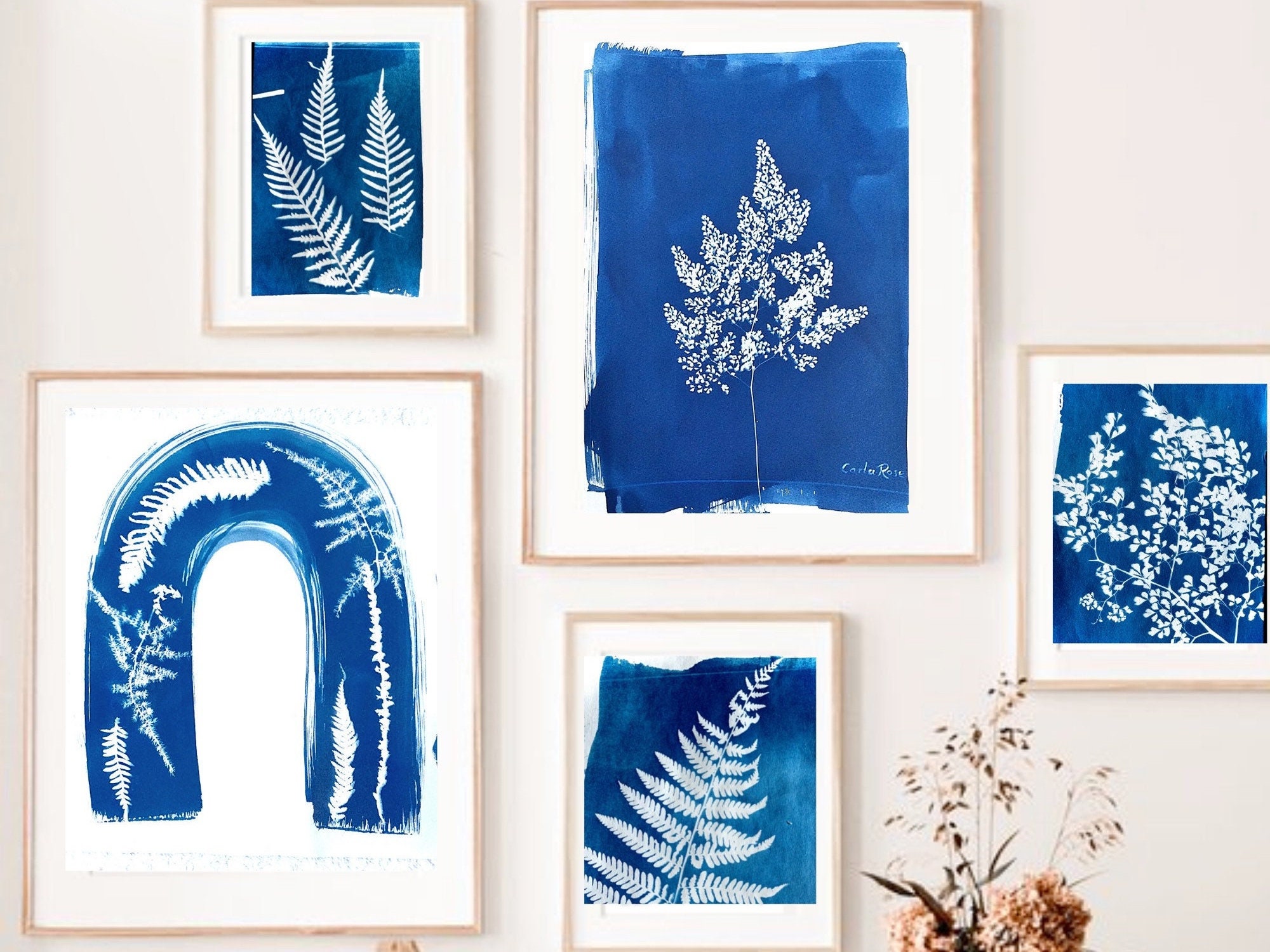 Rainbow Cyanotype Kit 🌈 DIY Camera-less Photography