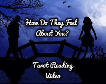 LOVE TAROT READING Video, How Do They Really Feel About You? Your Persons Thoughts & Feelings? 15 Minutes, Detailed Prediction, In-Depth