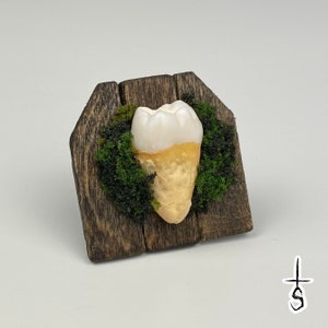 White Tooth Frame FREE SHIPPING