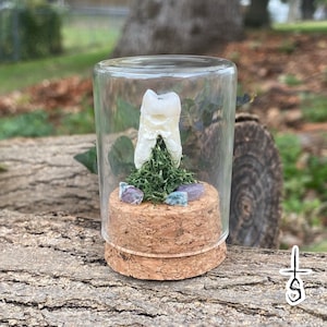 Big Molar Jumbo Dome FREE SHIPPING