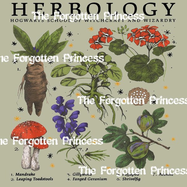 Herbology Etsy