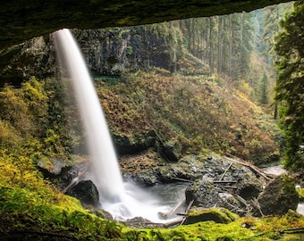 May include: A scenic landscape photograph of a waterfall cascading down a rock face. The water plunges into a pool surrounded by moss-covered rocks and lush greenery. The background features a dense forest with tall trees and a path.