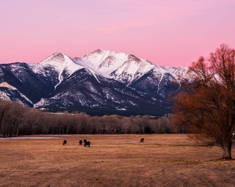 Mt Princeton, Buena Vista, Colorado, Landscape Photo Print