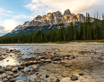 May include: A rocky riverbed with a clear, shallow stream flowing through it. The river is in front of a dense forest of evergreen trees, with a large mountain range in the background. The mountain range is a light brown color with some snow on the peaks.