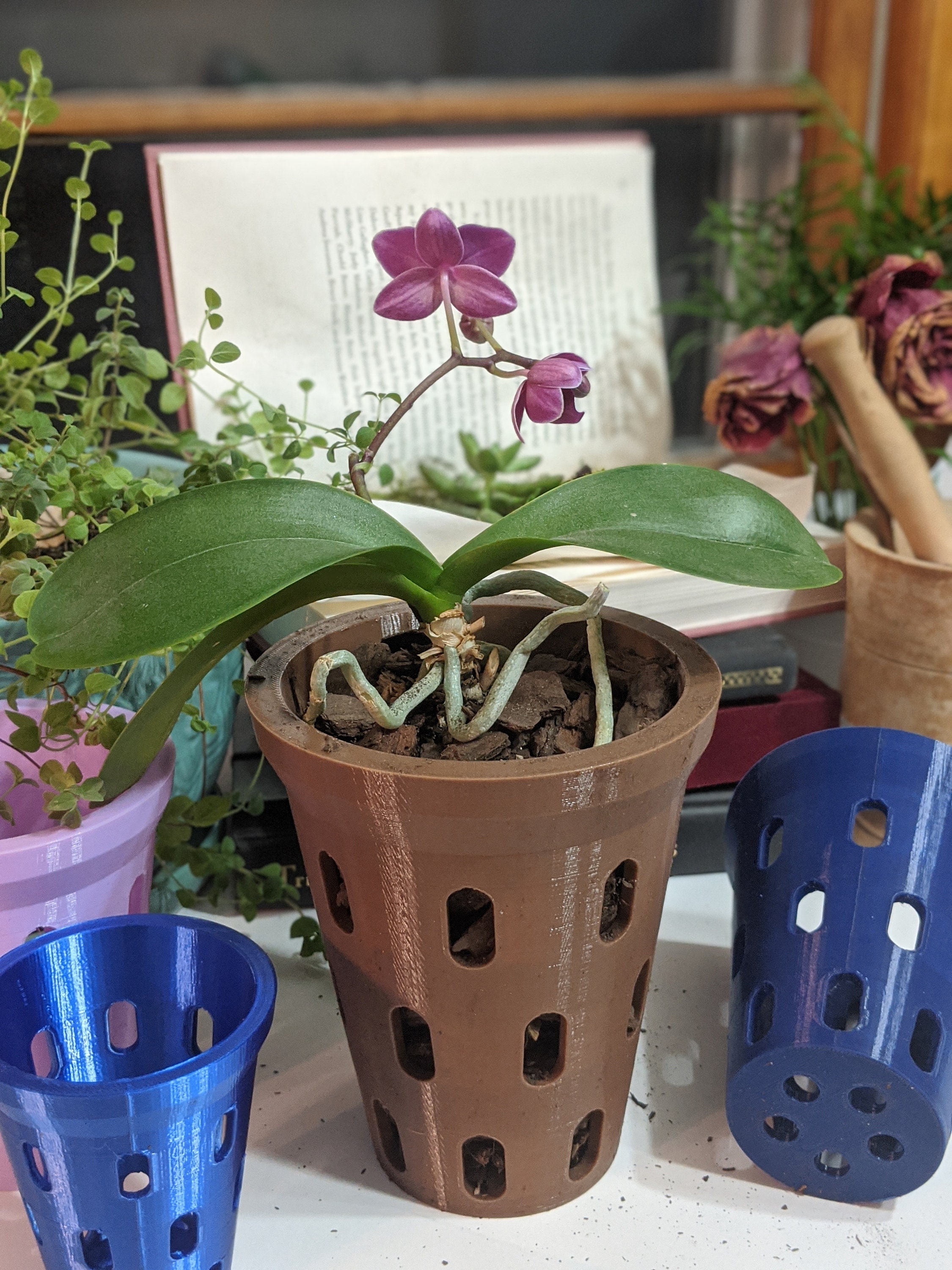 Orchideentopf mit Löchern Topf Leinen für Orchideen Etsy