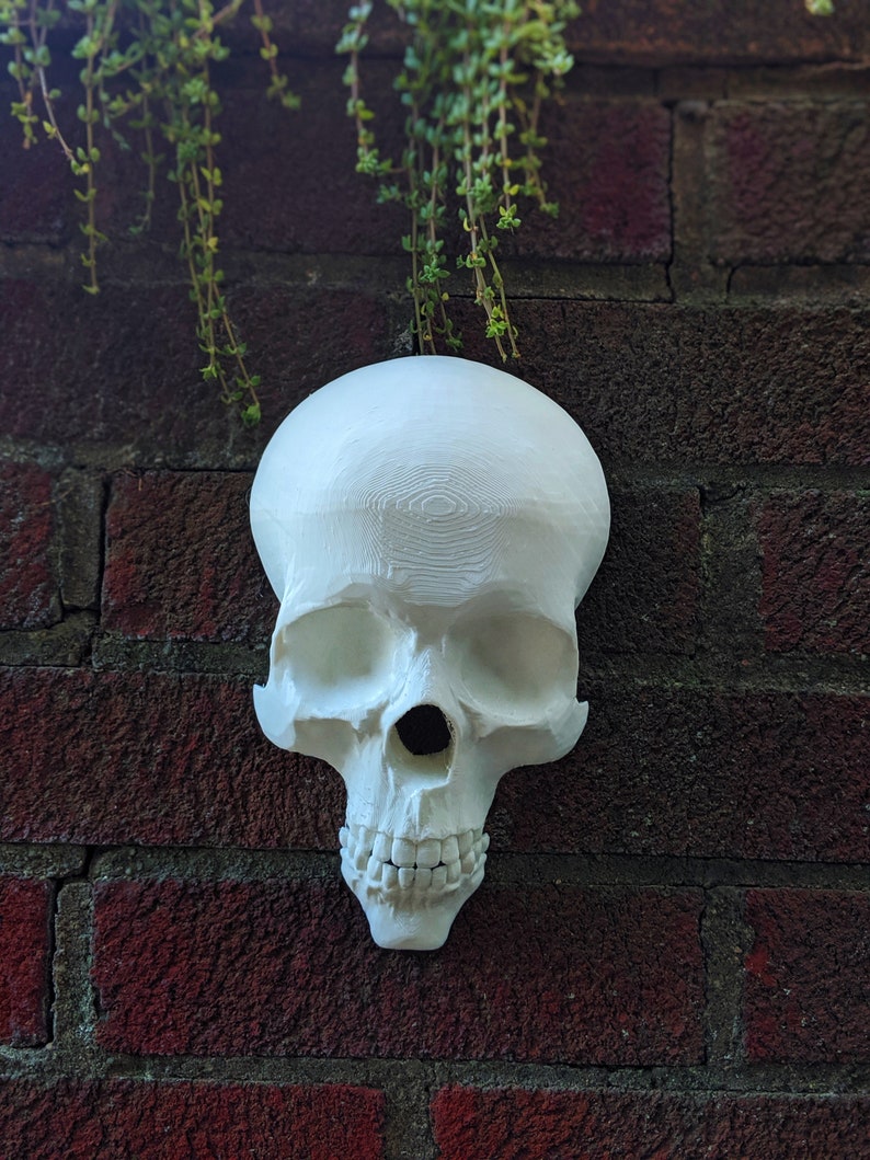 Wall Skull Halloween Decoration Skull Art Skull Etsy