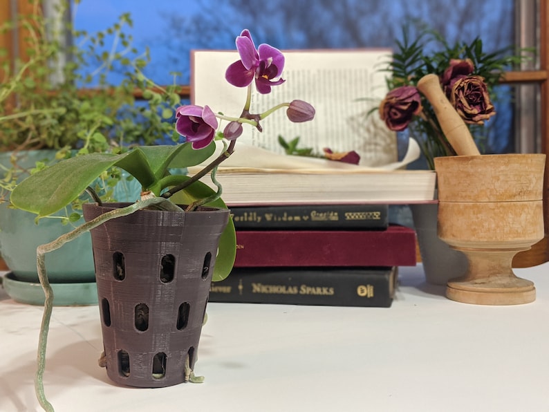 Orchid Pot with Holes Pot Liner for Orchids Air Pot Etsy