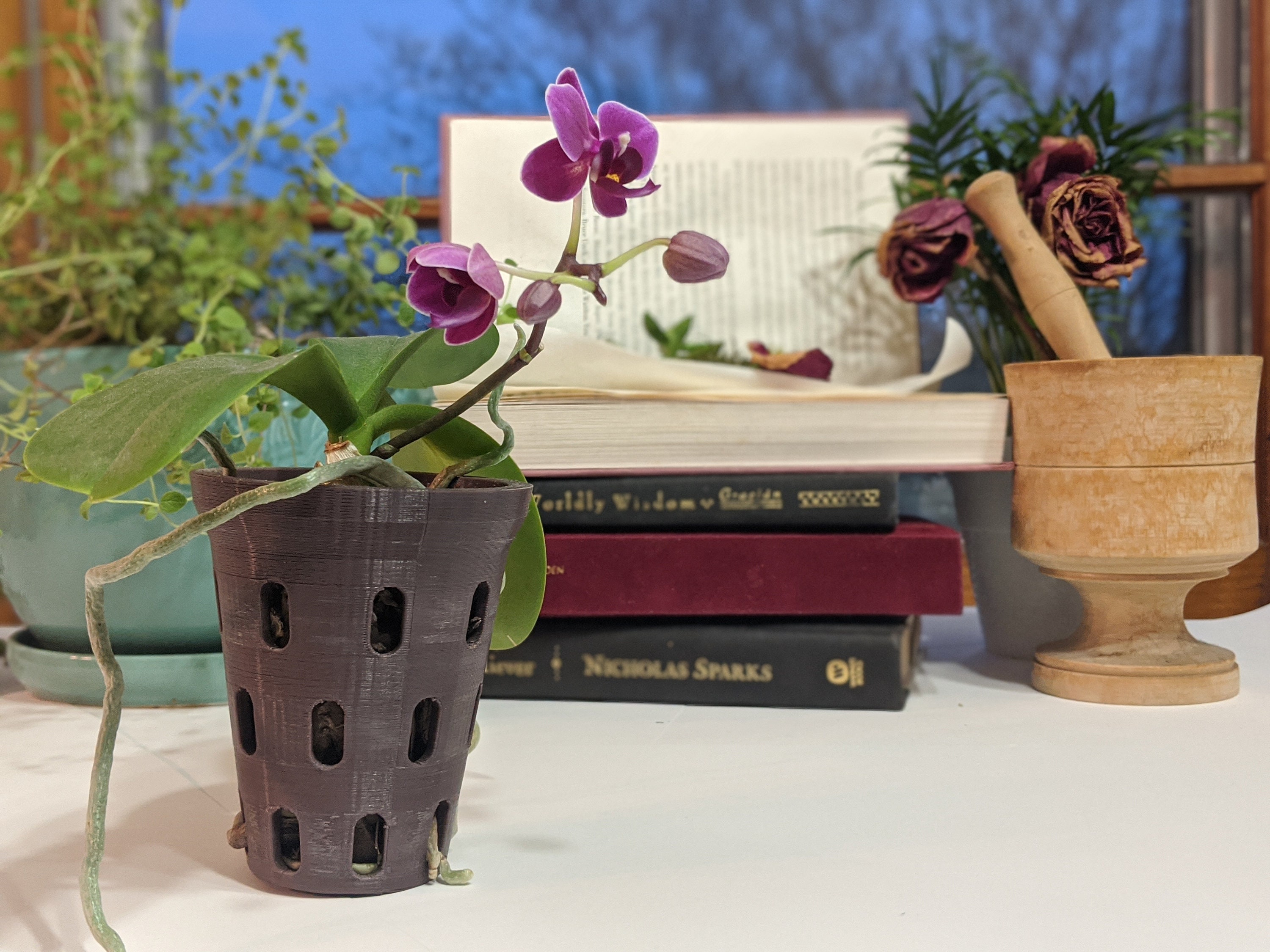 Orchideentopf mit Löchern Topf Leinen für Orchideen Etsy