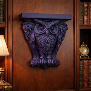 Eulen-Wand Corbel Regal Gothik-Dekor, dunkler Academia Eulen-Wandakzent, von der Bibliothek inspirierte Regalhalterung, Raben-Arbeitszimmer-Dekor, launischer Akzent zu Hause