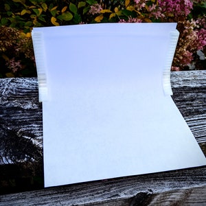 May include: A white paper sheet held by a clear plastic binder. The binder has a ribbed design on the sides. The background features a weathered wooden surface and colorful foliage.