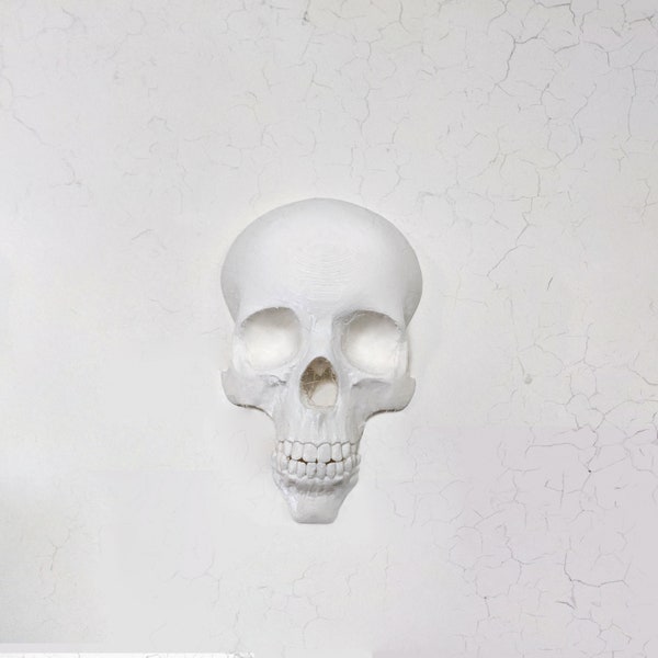 Wall Skull | Halloween Decoration | Skull Art | Skull Decoration | Halloween Skull | Not a Wall Sconce or Wall Candle Holder