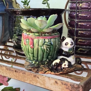 May include: A green ceramic planter with a bamboo design, holding a succulent plant. A panda figurine sits beside the planter, with a baby panda resting on a log. The planter has a red ribbon design.