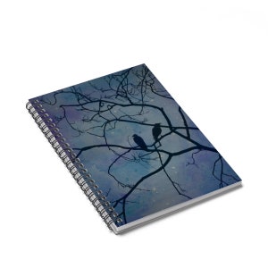 Night Birds Journal Galaxy Bird Notebook Spiral Bird Notebook Night Birds Watercolor Watercolor Sky Notebook Galaxy Sky Journal bird journal