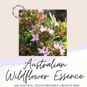 May include: A close-up of pink wildflowers with green leaves. The text "Australian Wildflower Essence" is below the image. The text "ALL NATURAL, VEGAN FRIENDLY, CRUELTY FREE" is below the text.