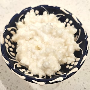 May include: A close-up of a white, creamy, grainy substance in a blue and white patterned bowl. The bowl has a white rim and a blue interior with a white floral design.
