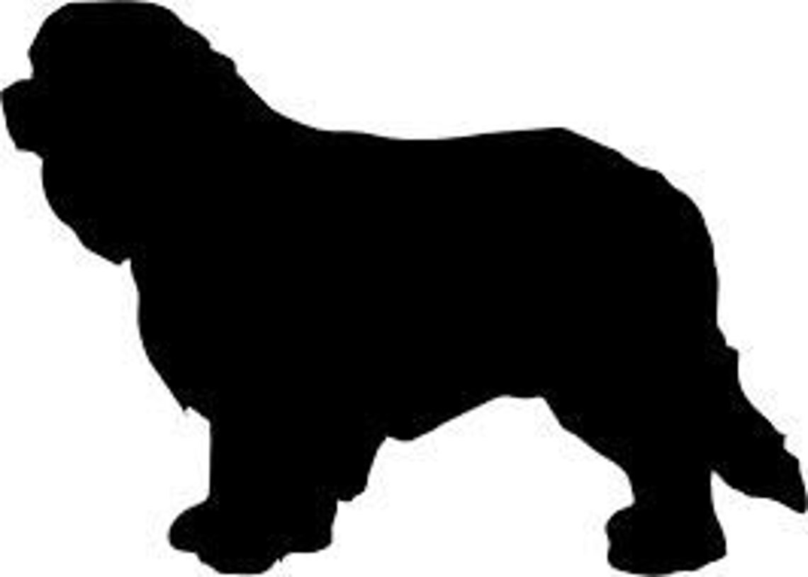 Cavalier King Charles Spaniel Silhouette SVG Digital Download - Etsy