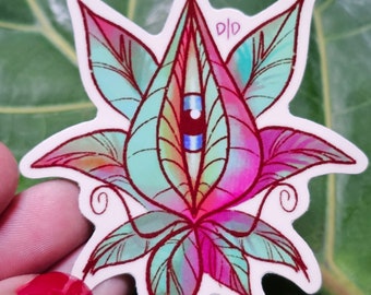 Può includere: Un adesivo con un occhio stilizzato colorato circondato da foglie rosa e verdi. L'occhio ha un'iride blu e una pupilla rossa. L'adesivo ha il testo "D/D" nella parte superiore centrale.