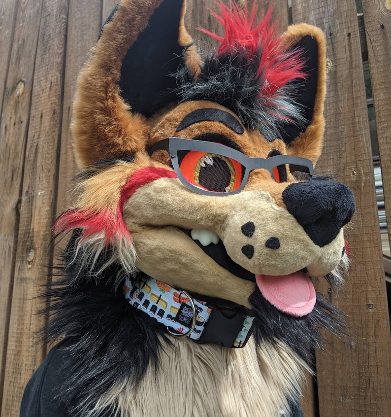 Custom fursuit collar with D ring hand made by Norsewolf Etsy