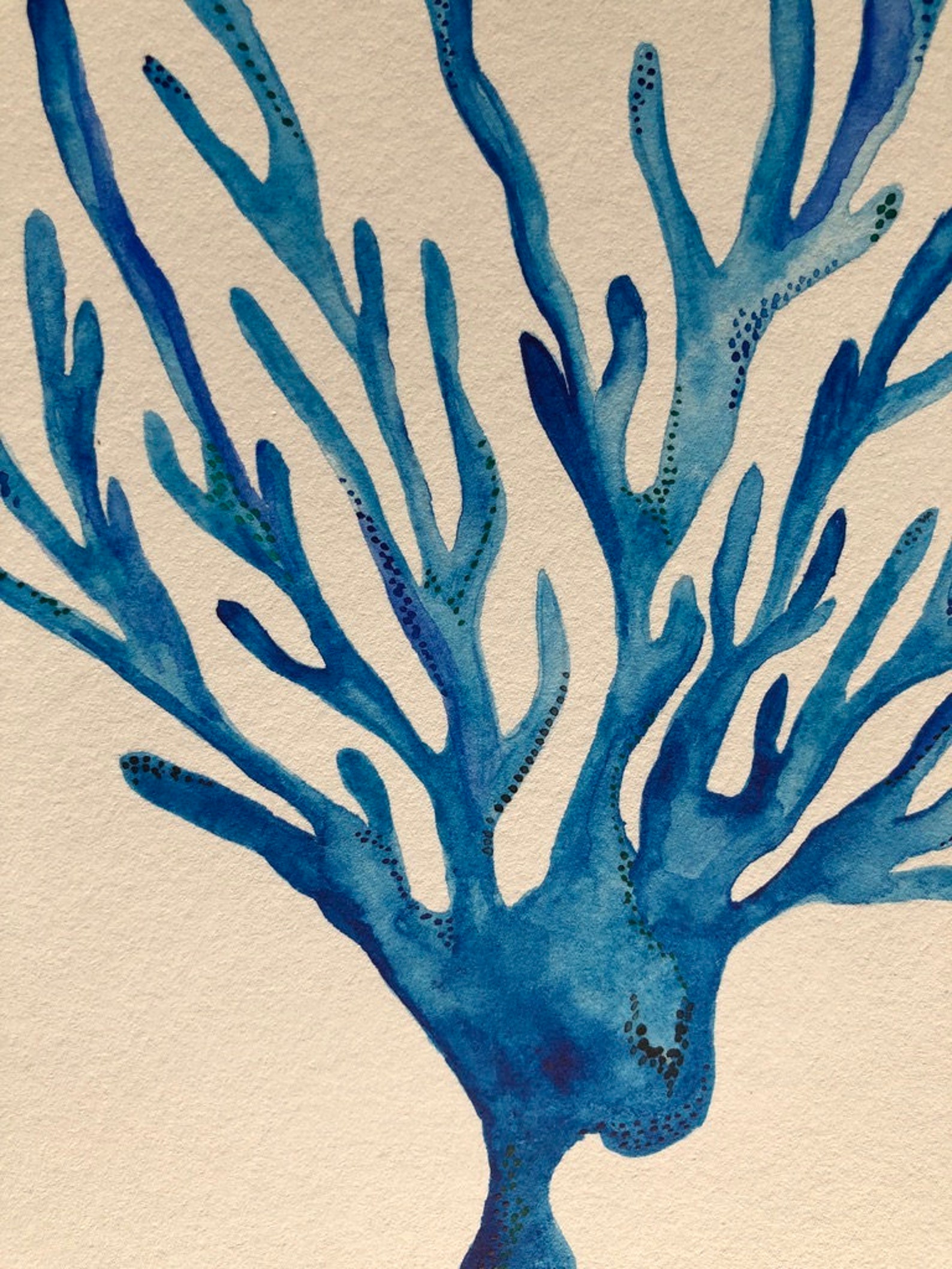 Coral Art Print Digital Print Watercolour Art Ocean Home Etsy