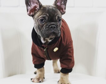 dog flying jacket