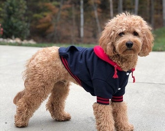 Dog Sweater | Navy Blue Hoodie Sweater