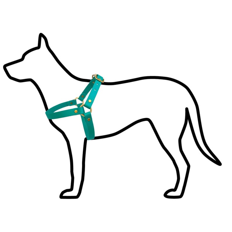 Dog Harness Vegan Leather Harness Waterproof Dog Harness Etsy