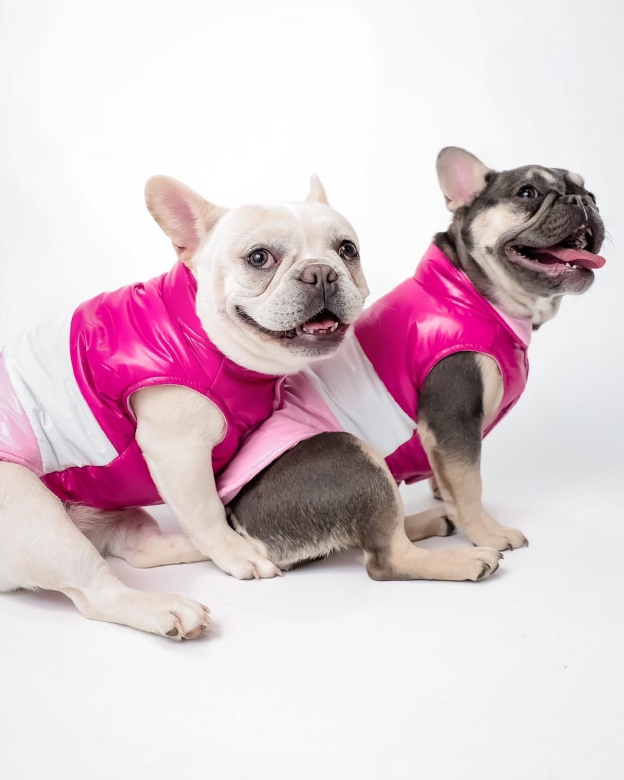 Pink Dog Puffer - Etsy