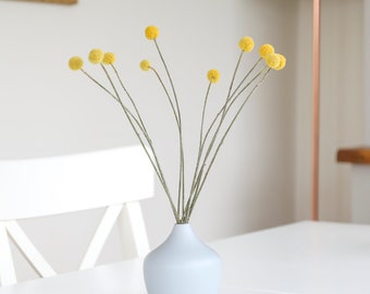 Bouquet de Craspedia séchés jaunes (10 tiges) | Badges Billy moutarde | Têtes laineuses de fleurs séchées | Compositions florales, Décoration d'intérieur