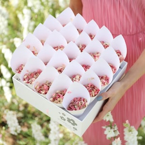 Coni di coriandoli bianchi per matrimonio / 100% biodegradabili, fiori secchi, veri petali di coriandoli / Coni e coriandoli bianchi (disponibili in 20 colori)