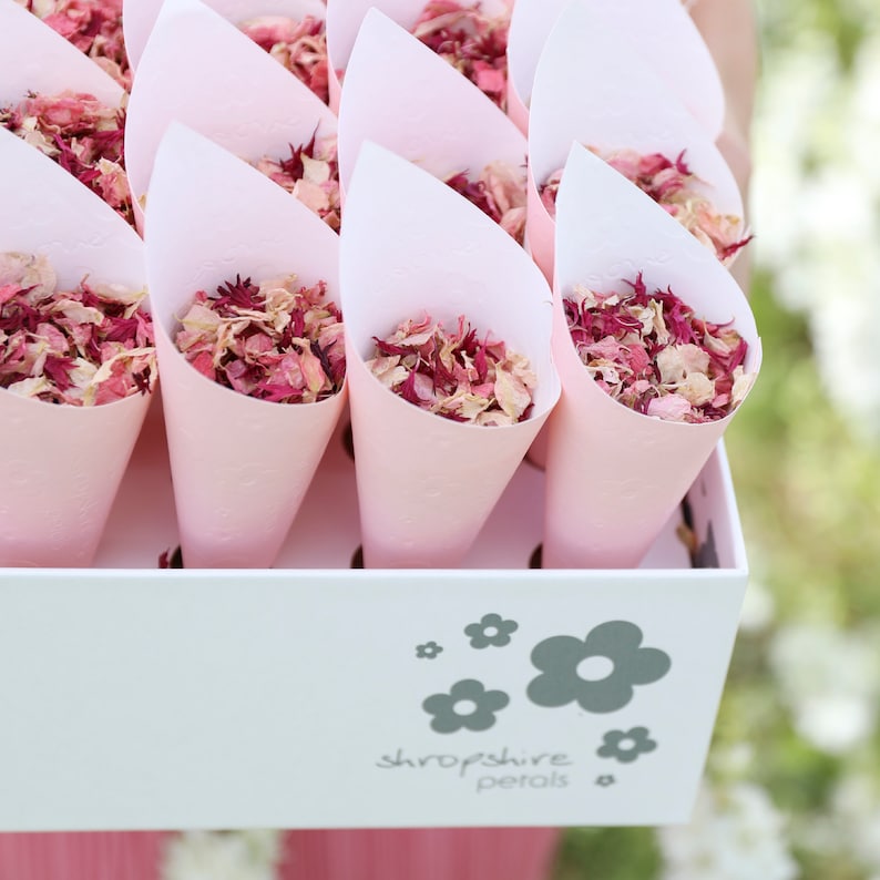 Wedding Confetti Cone Box 25 Confetti Cones & Biodegradable Etsy UK