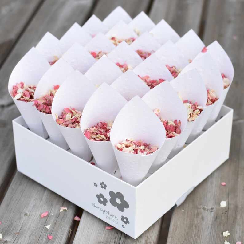 Cônes de confettis de mariage blancs 100 biodégradable Etsy France