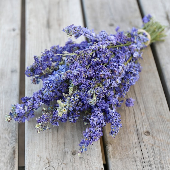 Lilac Dried Flower Bunch Dried Flowers, Floral Arrangements Florist, DIY,  Create Your Own Bouquet 